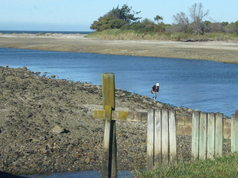 Picking Mussels @ Milnthorpe
